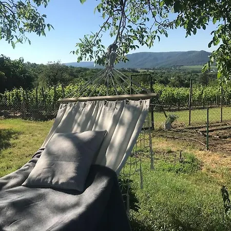 A Vidam Vandor Vendeghaz Holiday home Zalaszanto